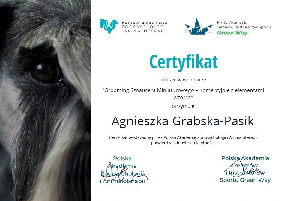 Certyfikat udziału Agnieszki Grabskiej-Pasik w webinarze groomingowym
